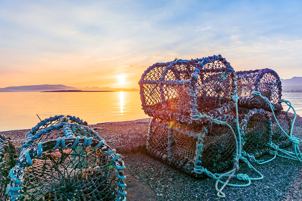 AdobeStock_234626408 copy.jpeg